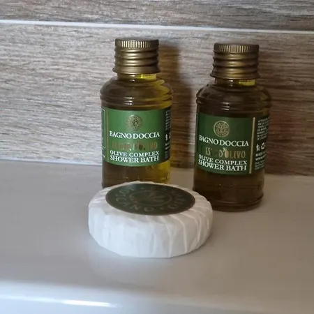 Alojamento de Acomodação e Pequeno-almoço Antico Borgo B&B Seggiano